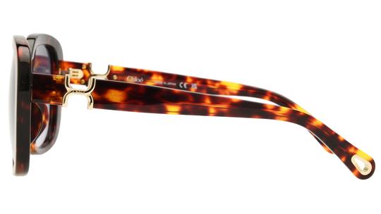 Lunettes de soleil Chloé Femme Écaille Rectangle CH0303SK Gauche