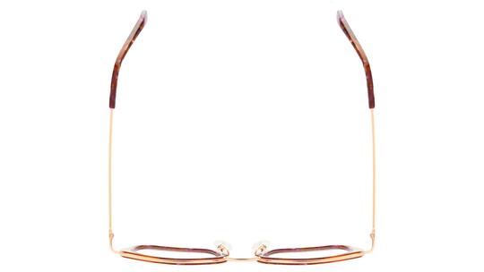 Lunettes de vue Signature Krys Femme Écaille Papillon Kis2505 Dessus