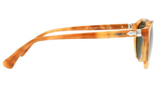 Lunettes de soleil Polo Ralph Lauren Homme Écaille Pantos PH4221 Droite