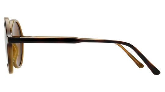 Lunettes de soleil Alternance Femme Écaille Ronde Alt25203 Gauche