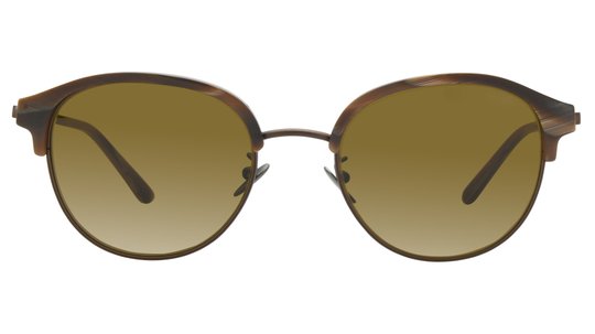 Lunettes de soleil Giorgio Armani Homme Marron Pantos Ar8215 Face