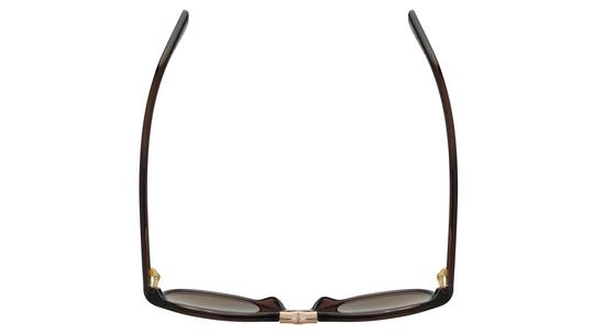 Lunettes de soleil Longchamp Femme Marron Aviateur lo800s Dessus