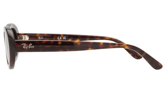 Lunettes de soleil Ray-Ban Femme Écaille Ovale RB2223 Gauche