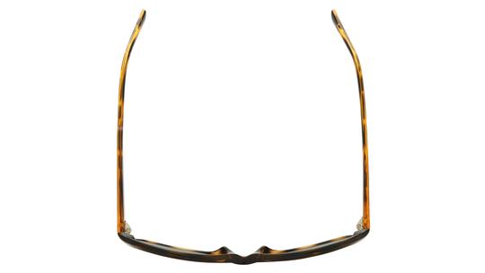 Lunettes de soleil Alternance Femme Écaille Rectangle alt18205 Dessus