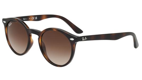 Lunettes de soleil Ray-Ban Mixte Écaille Pantos Rj9064S Trois-Quart