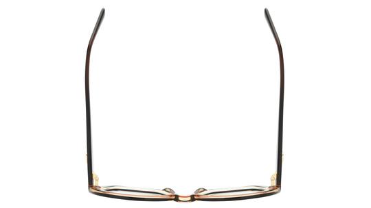 Lunettes de vue Longchamp Femme Marron Rectangle Lo759 Dessus