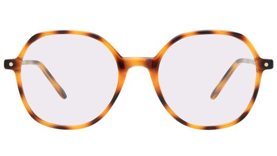 Lunettes de vue Alternance Femme Écaille Tonneau Alt26111 Face