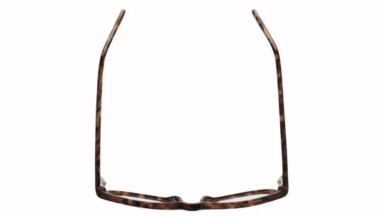 Lunettes de vue Alternance Femme Écaille Pantos Alt26106 Dessus