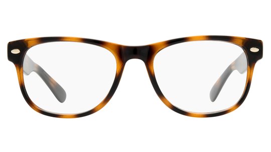 Lunettes de vue Alternance Mixte Écaille Wayfarer Alt25104 Face