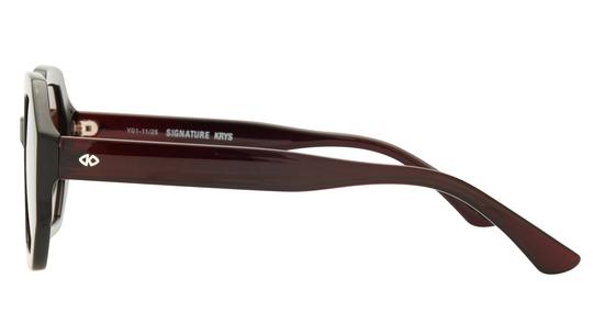 Lunettes de soleil Signature Krys Femme Marron Tonneau skj2604-b Gauche