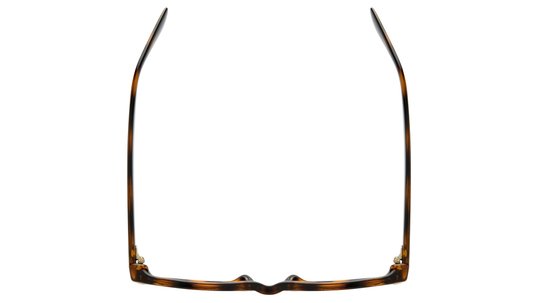 Lunettes de vue Alternance Mixte Écaille Wayfarer Alt25104 Dessus