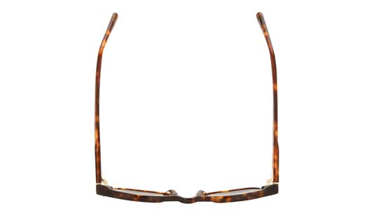 Lunettes de soleil Sandro Femme Écaille Carré SD6099 Dessus