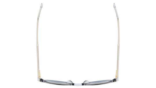 Lunettes de soleil Boss Homme Gris Pantos Boss Dessus