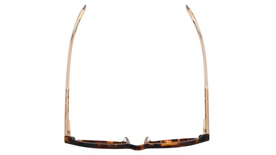 Lunettes de vue Zadig & Voltaire Femme Écaille Pantos vzv499 Dessus