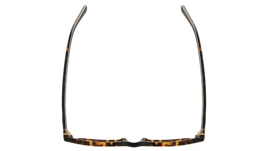 Lunettes de vue Polo Ralph Lauren Homme Écaille Rectangle PH2284 Dessus