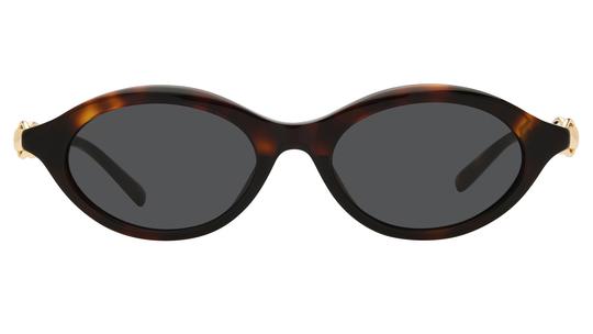 Lunettes de soleil Gucci Femme Écaille Ovale Gg2215S Face