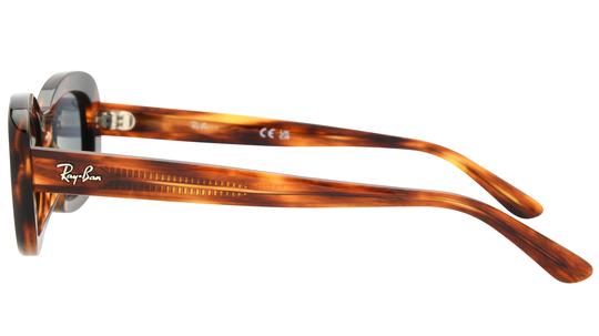 Lunettes de soleil Ray-Ban Femme Marron Ovale RB2221 Gauche