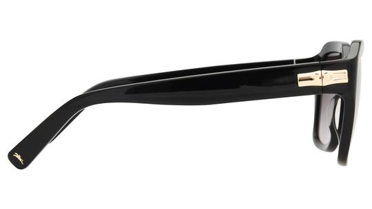 Lunettes de soleil Longchamp Femme Noir Rectangle Lo816S Droite