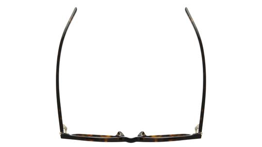 Lunettes de vue Saint Laurent Femme Marron Rectangle Slm146Opt Dessus