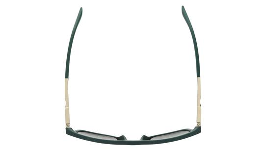 Lunettes de soleil Emporio Armani Homme Vert Rectangle EA4237 Dessus