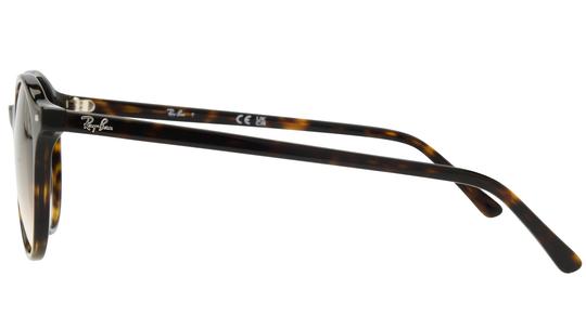 Lunettes de soleil Ray-Ban Mixte Marron Pantos RB2230 Gauche