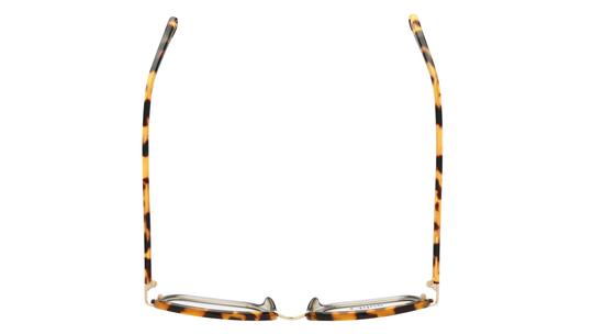 Lunettes de vue Chloé Femme Marron Carré CH0034O Dessus