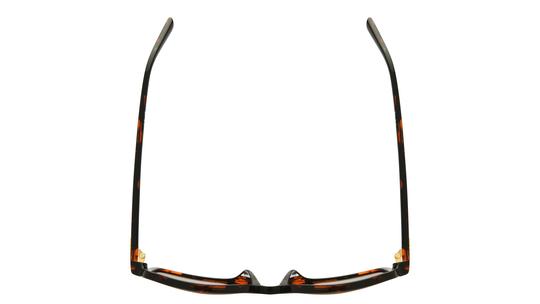 Lunettes de soleil Michael Kors Femme Écaille Carré Mk2098U Dessus