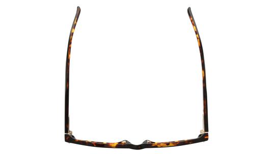 Lunettes de vue Sandro Femme Noir Ronde SD2084 Dessus