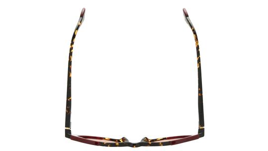 Lunettes de soleil Etnia Barcelona Femme Écaille Papillon NILA Dessus