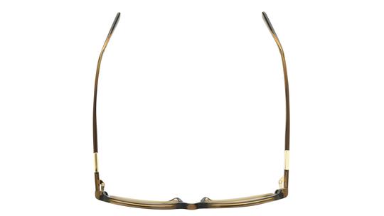 Lunettes de soleil Longchamp Femme Vert Rectangle Lo818S Dessus