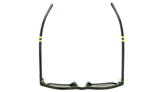 Lunettes de soleil Polo Ralph Lauren Homme Vert Angulaire PH4234U Dessus