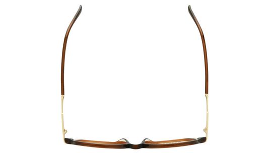 Lunettes de vue Sandro Femme Marron Rectangle sd2067 Dessus