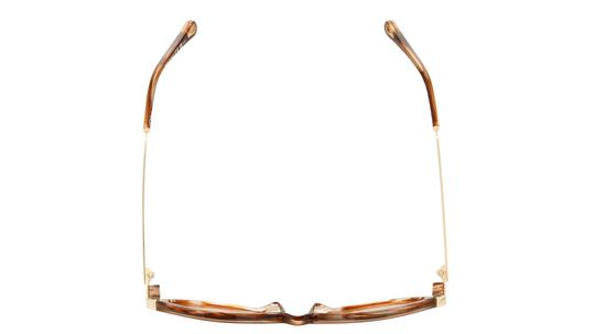 Lunettes de soleil Chloé Femme Écaille Papillon Ch0406S Dessus