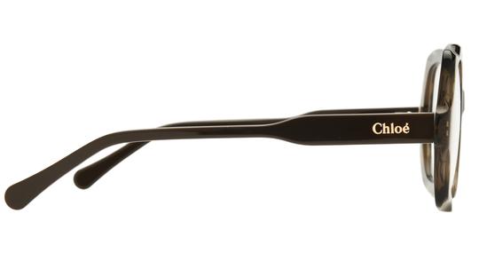 Lunettes de vue Chloé Femme Marron Carré ch0228o Droite