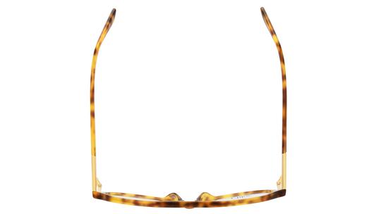 Lunettes de vue Chloé Femme Écaille Aviateur ch0366o Dessus