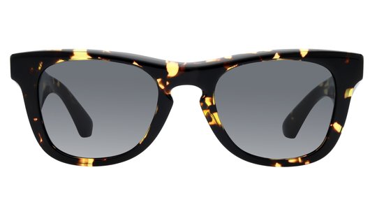 Lunettes de soleil Burberry Homme Écaille Carré BE4426 Face