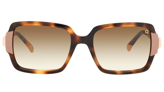 Lunettes de soleil Etnia Barcelona Femme Écaille Rectangle ALMEDA Face