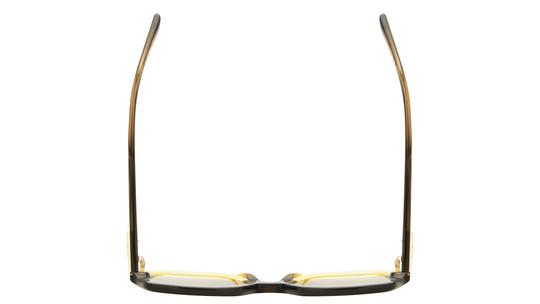 Lunettes de soleil Longchamp Femme Marron Oversize LO790S Dessus