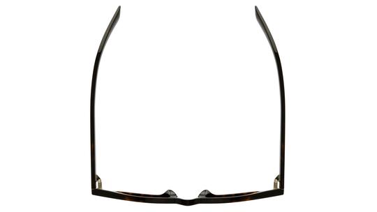 Lunettes de soleil Saint Laurent Mixte Écaille Pantos SL Dessus