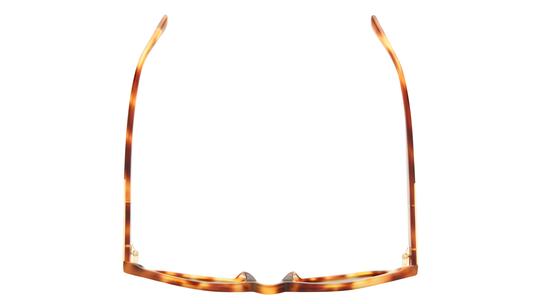 Lunettes de soleil Signature Krys Femme Écaille Papillon skj2615-e Dessus