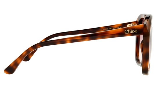 Lunettes de soleil Chloé Femme Écaille Carré CH0280S Droite