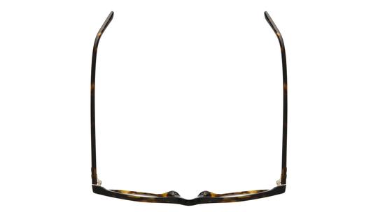 Lunettes de soleil Ray-Ban Mixte Marron Pantos RB2230 Dessus