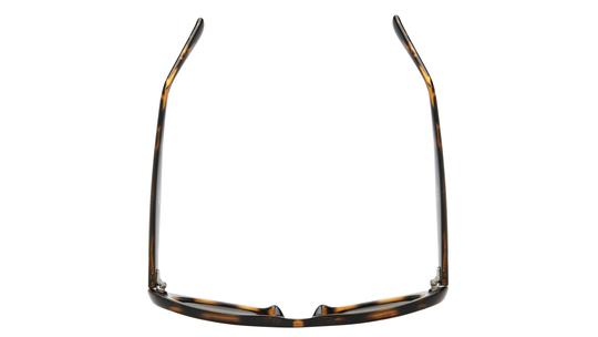 Lunettes de soleil Alternance Femme Écaille Ovale Alt25217 Dessus