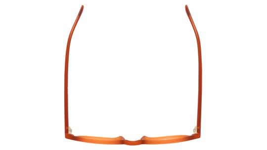 Lunettes de vue Alternance Homme Orange Pantos Alt26103 Dessus