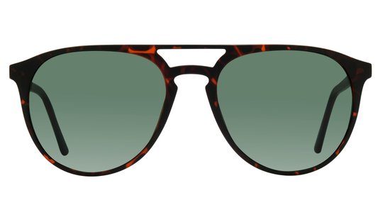 Lunettes de soleil Alternance Mixte Écaille Aviateur Alt25207 Face