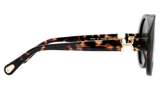 Lunettes de soleil Chloé Femme Écaille Ronde CH0332S Droite